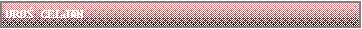 Text Box: URO CELJAN